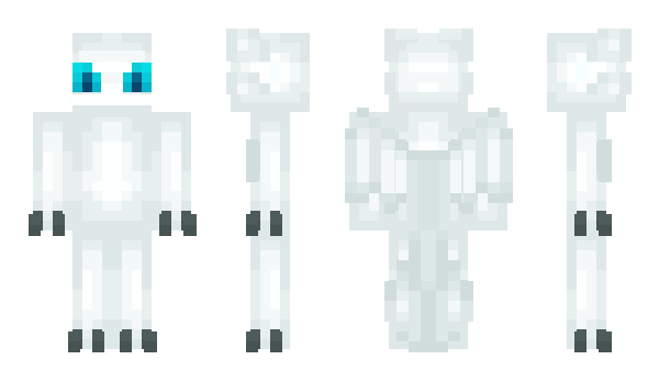 Minecraft skin SONHD