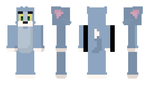 Minecraft skin Danshirt