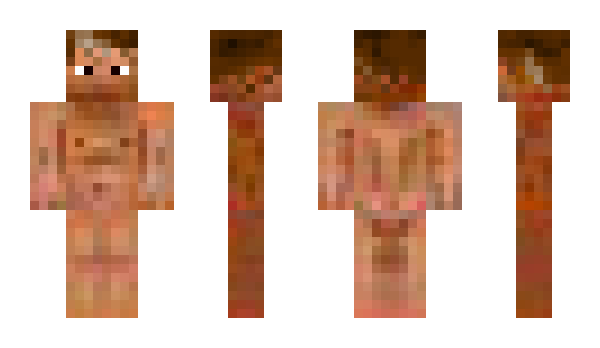 Minecraft skin Aunsti