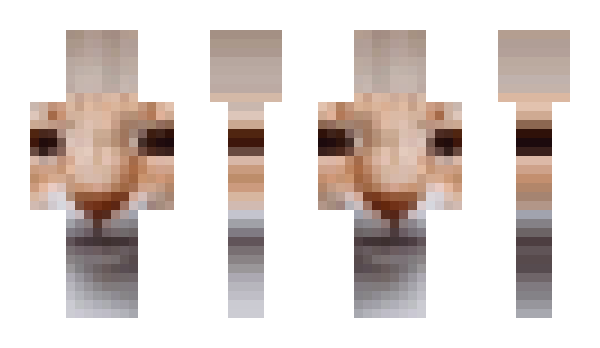 Minecraft skin qcv