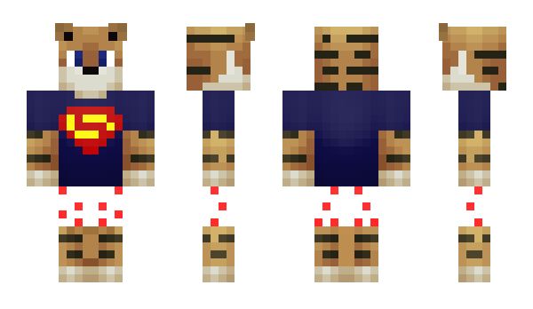 Minecraft skin timwinkHD