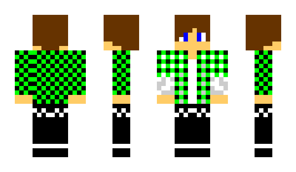 Minecraft skin dlroro