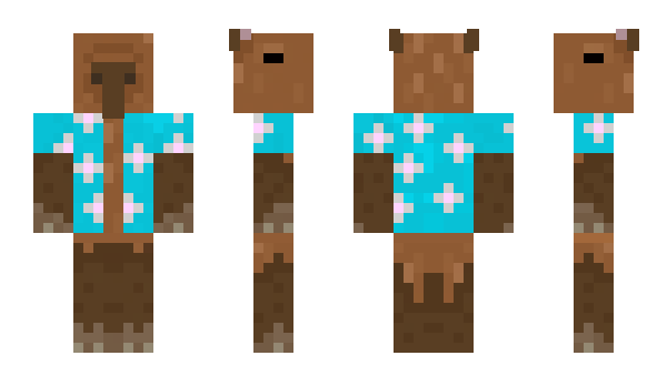 Minecraft skin Marllan