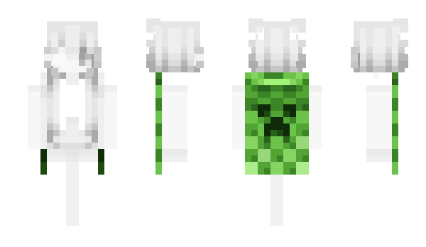 Minecraft skin Zoomisha