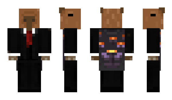 Minecraft skin ZenithTao