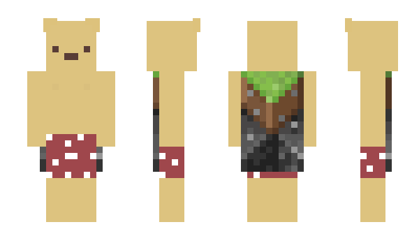 Minecraft скин по нику Lse10