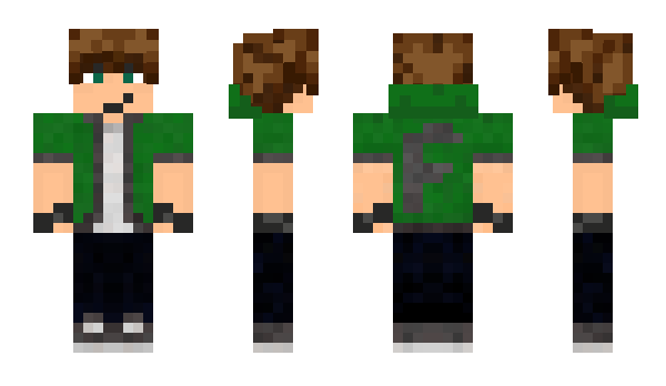 Minecraft skin FlybugHD