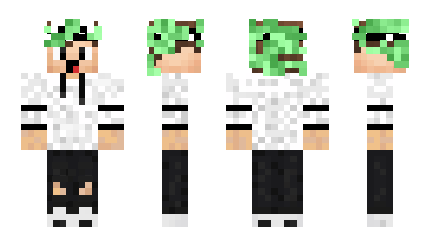 Minecraft skin Oonix