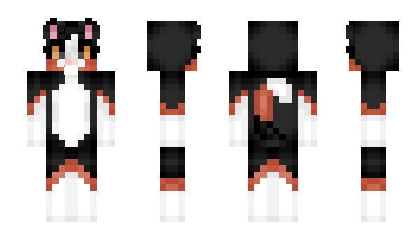 Minecraft skin SirLouette