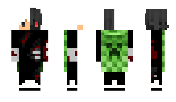 Minecraft skin vdkx