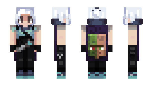 Minecraft skin Decameter