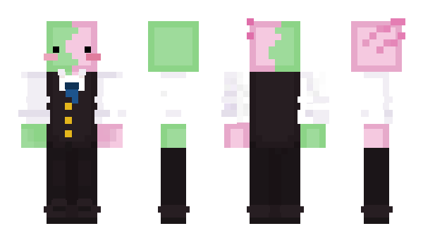 Minecraft skin Swoooble