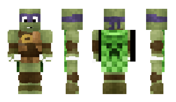 Minecraft skin fineturtle