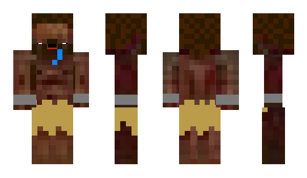 Minecraft skin Rapides