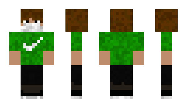 Minecraft skin Paczo