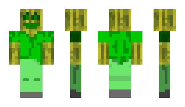 Minecraft skin davidminecra