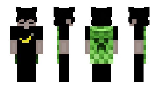 Minecraft skin napiic