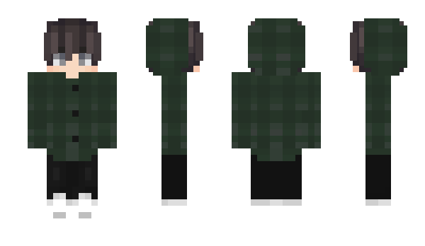 Minecraft skin houth