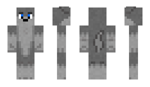 Minecraft skin DCC