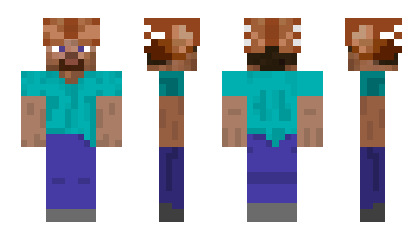 Minecraft skin 31d