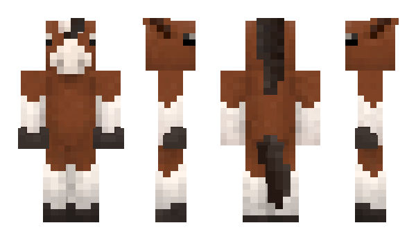 Minecraft skin anv