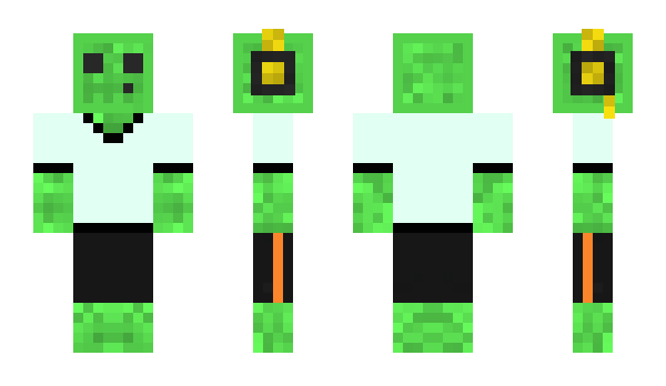 Minecraft skin ooMOIoo