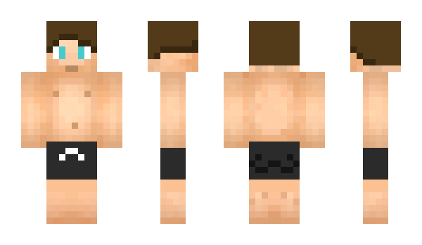 Minecraft skin rTake