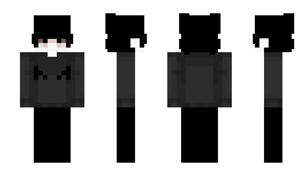 Minecraft skin TIanLu
