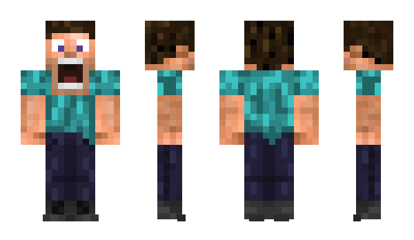 Minecraft skin Puri