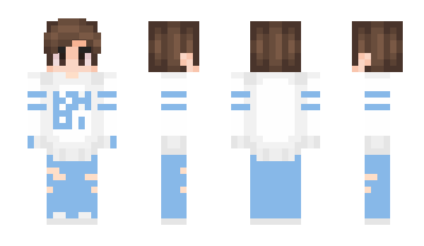 Minecraft skin hikoshi