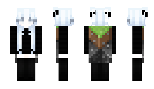 Minecraft skin Slvrk