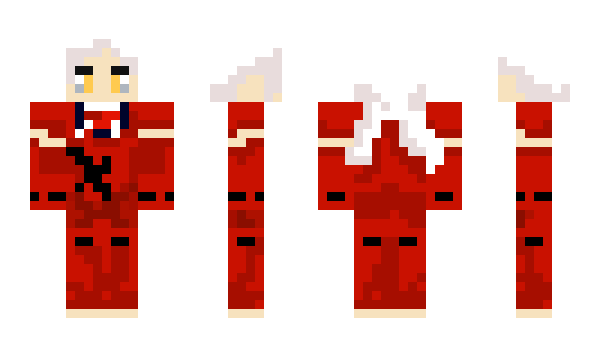Minecraft skin VIPDE