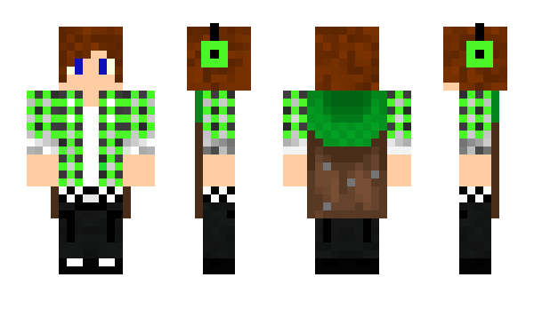 Minecraft скин по нику doesntgay