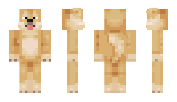 Minecraft skin 22FalwyyrDOG