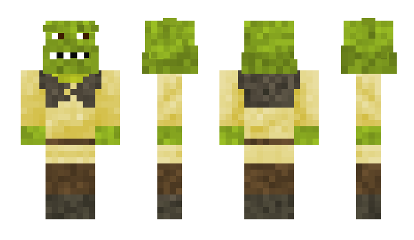 Minecraft skin WizCaedis