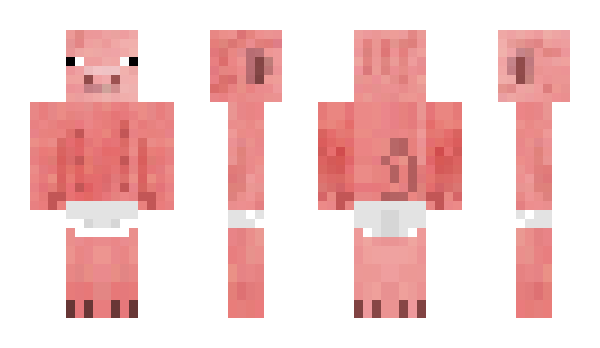 Minecraft skin Pigcraftler