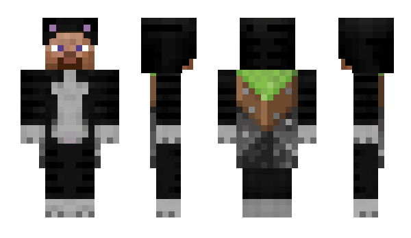 Minecraft skin 591h