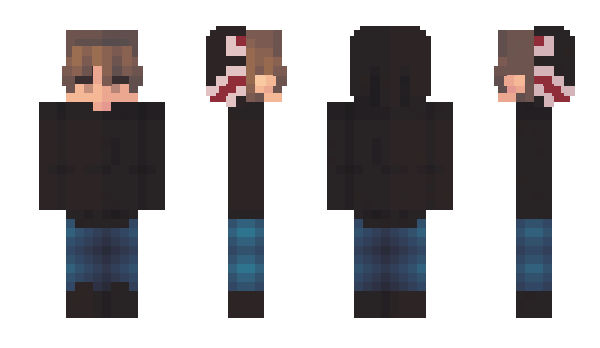 Minecraft skin Didar