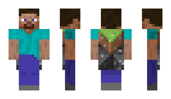 Minecraft skin Envisible