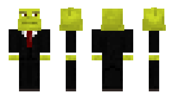 Minecraft skin Ricepoool