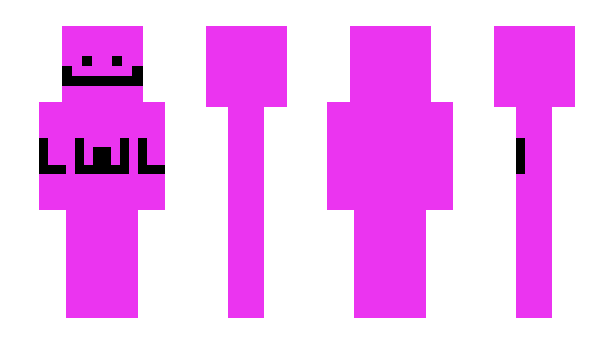 Minecraft skin nn_sr