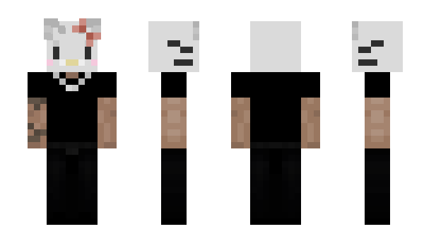 Minecraft skin _ZYP