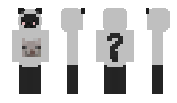 Minecraft skin PG_OOF