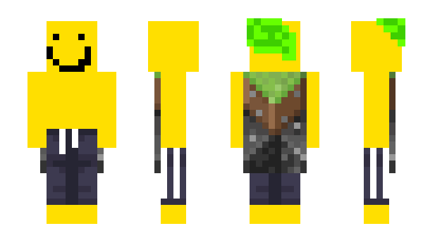 Minecraft skin Phxlan