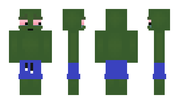 Minecraft skin Quigers
