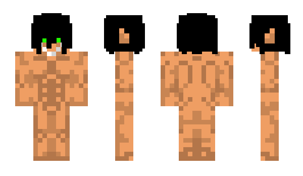 Minecraft skin p6tj
