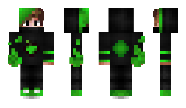 Minecraft скін по ніку perroquet