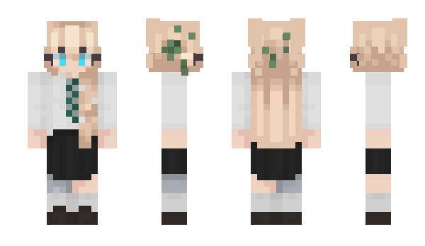 Minecraft skin Chisefr_