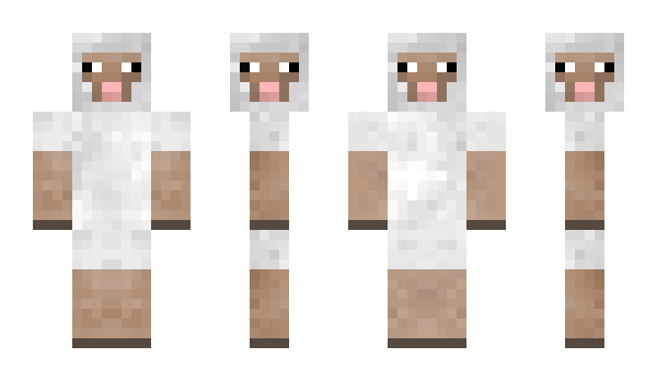 Minecraft skin wollec