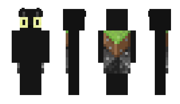 Minecraft skin lipj